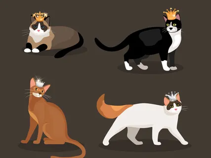 Heidi, Cherry & Vaya Visit Princess Valley