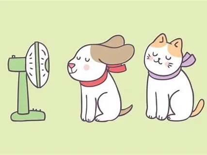 Heidi Cherry Vaya Tucker & Leo - The Lost Moo Moo