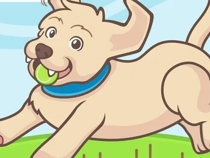 Heidi Cherry Vaya Tucker & Leo | Noah's Crazy Football Game