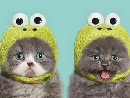 Heidi Cherry & Vaya | Vaya's Sick Fashion Show