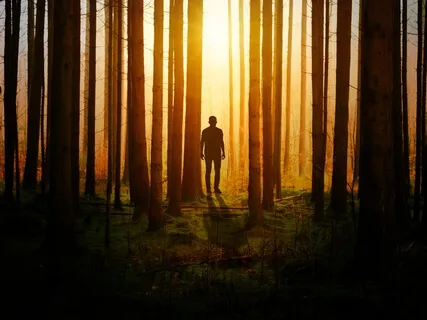 Healing Music To Be Free Of Panic & Fear: Melody Based On The Solfeggio Frequency (Heilmusik zur Befreiung von Panik & Angst: Melodie auf Basis der Solfeggio-Frequenz)