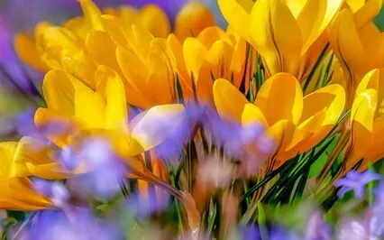 Hela (Beltane) In Finnish Folklore