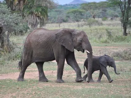 Held And Supported: A Space Of Sanctuary For Caregivers