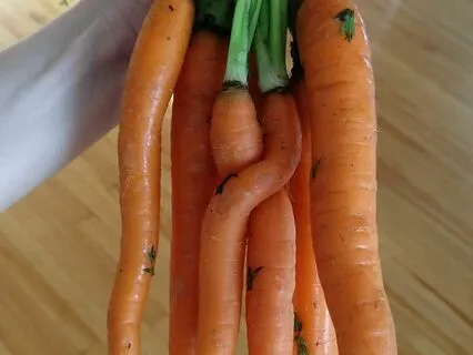 Held By Mother Earth