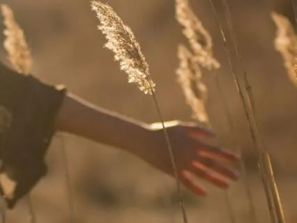 Held By Something Greater | Spiritual Sleep Meditation