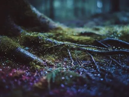 Held By The Earth: Grounding Rest