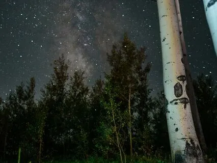 Deep Sleep With Crystal Singing Bowls & Forest Poetry