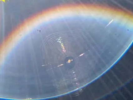 Held By The Universe