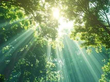 Held In God’s Goodness — A Meditation On Psalm 145