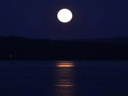 Held In Moonlight: A Healing Yoga Nidra