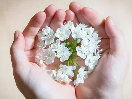 Held In The Hands Of Love