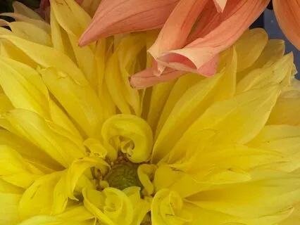 Hello: 10 Minute Anxiety Release