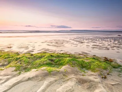 Hello Again: For Starting Your Day With Compassion