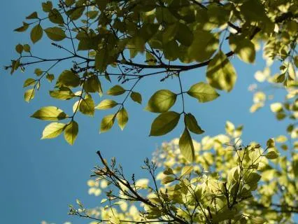Hello Summer - Relaxing Guitar