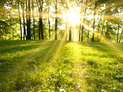 Hello Sun - Immunity Boosting Practice 