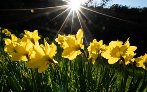 Hello Sun Meditation