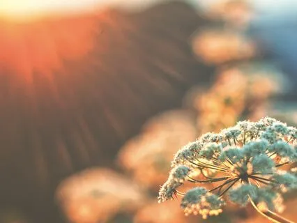 Help Calm A Racing Mind - 10 Minute Meditation Music