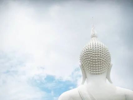 Help Clear the Mind and Improve Cognitive Clarity