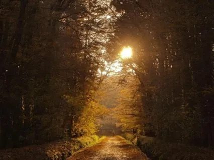 Help For Morning Dread: Stay Steady As You Start Your Day