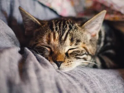 Help Induce A State Of Deep Relaxation (Binaural Beat)