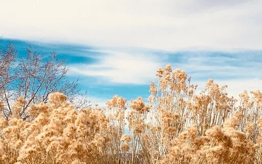 Help Me See This Differently