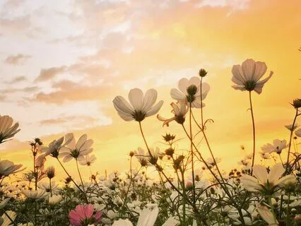 Help Me To Forgive – Seeking Divine Assistance