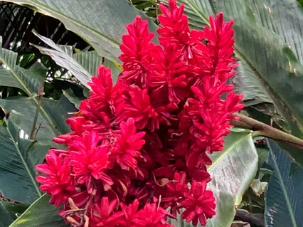 Help Me Walk (Instrumental)