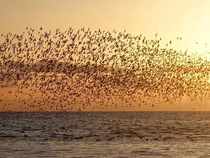 Help! My Mind Is Going Crazy