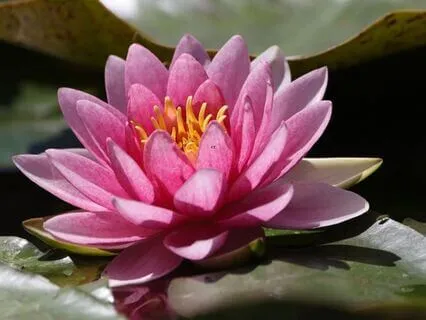 Help With Deciding Whether To Stay Or Change Your Job