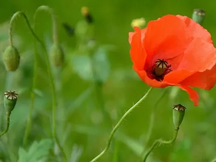 Helpful Steps For Perfectionists