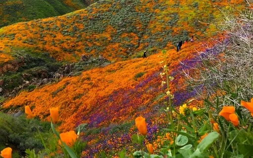 Helping Anxiety With Breath & Mantras