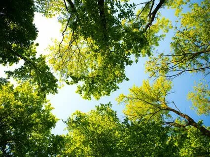 Helping You Through A Panic Attack