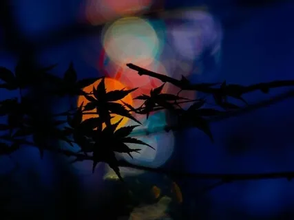 Hengityksen tarkkailun meditaatio pitkä versio