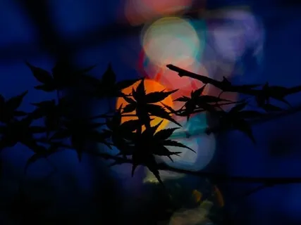 Hengityksen tarkkailun meditaatio