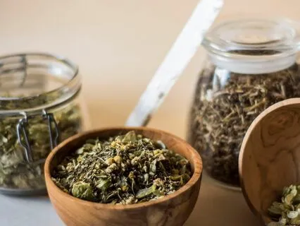 Herbal Medicine-Introduction And Nettles