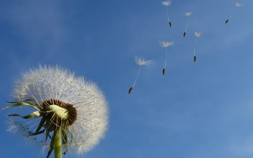 Here & Now - A Moment Of Abundance