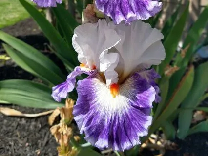 Here & Now: Being In The Present Moment