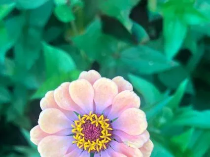 Here And Now: Diving Into This Moment
