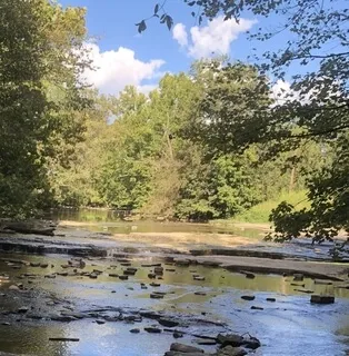 Here And Now Meditation