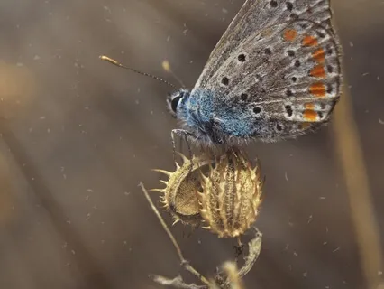 Be Here & Now (Piano)