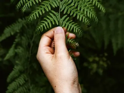 Here & Now Grounding