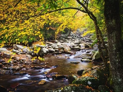 Here - Relaxing, Calming Violin With Flowing Stream
