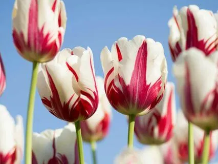 Here’s How To Get More Willpower