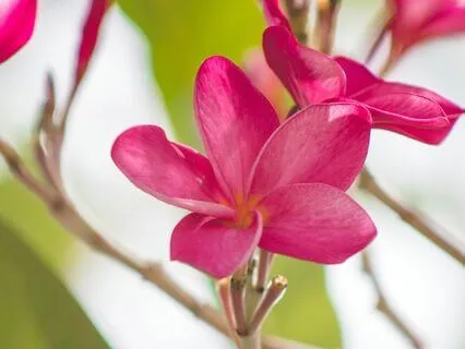 Here’s The Meaning Of Life