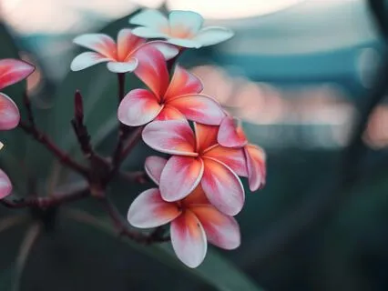 Here’s What Inherent Self-Worth Sounds Like