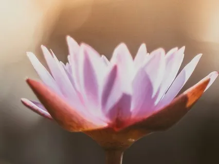 Here, Without Solving