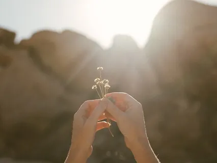 Here's To The Ones (Medicine Song For Honoring)