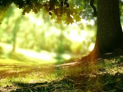 Praying Through Family History To Heal & Restore Connection