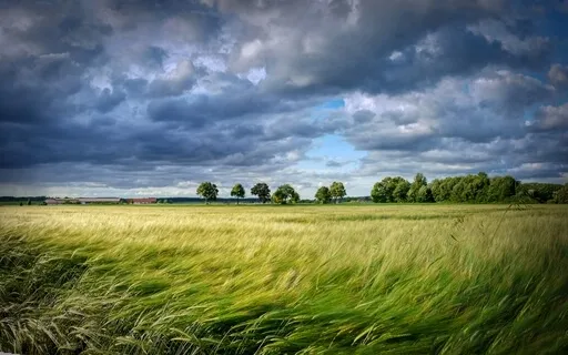 Heulender Herbstwind: Naturgeräusche zum Entspannen