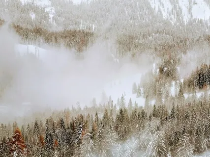 Heulender Wind | Windgeräusche | Natürliches Weißes Rauschen